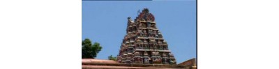 79. திருமூழிக்களம் (மூழிக்களம்)
